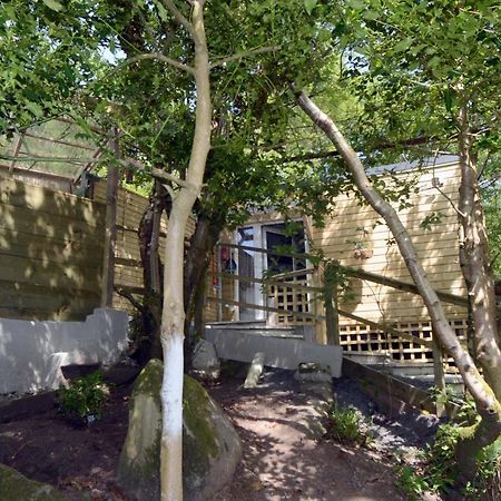 Tawny Lodge Westport Exterior foto