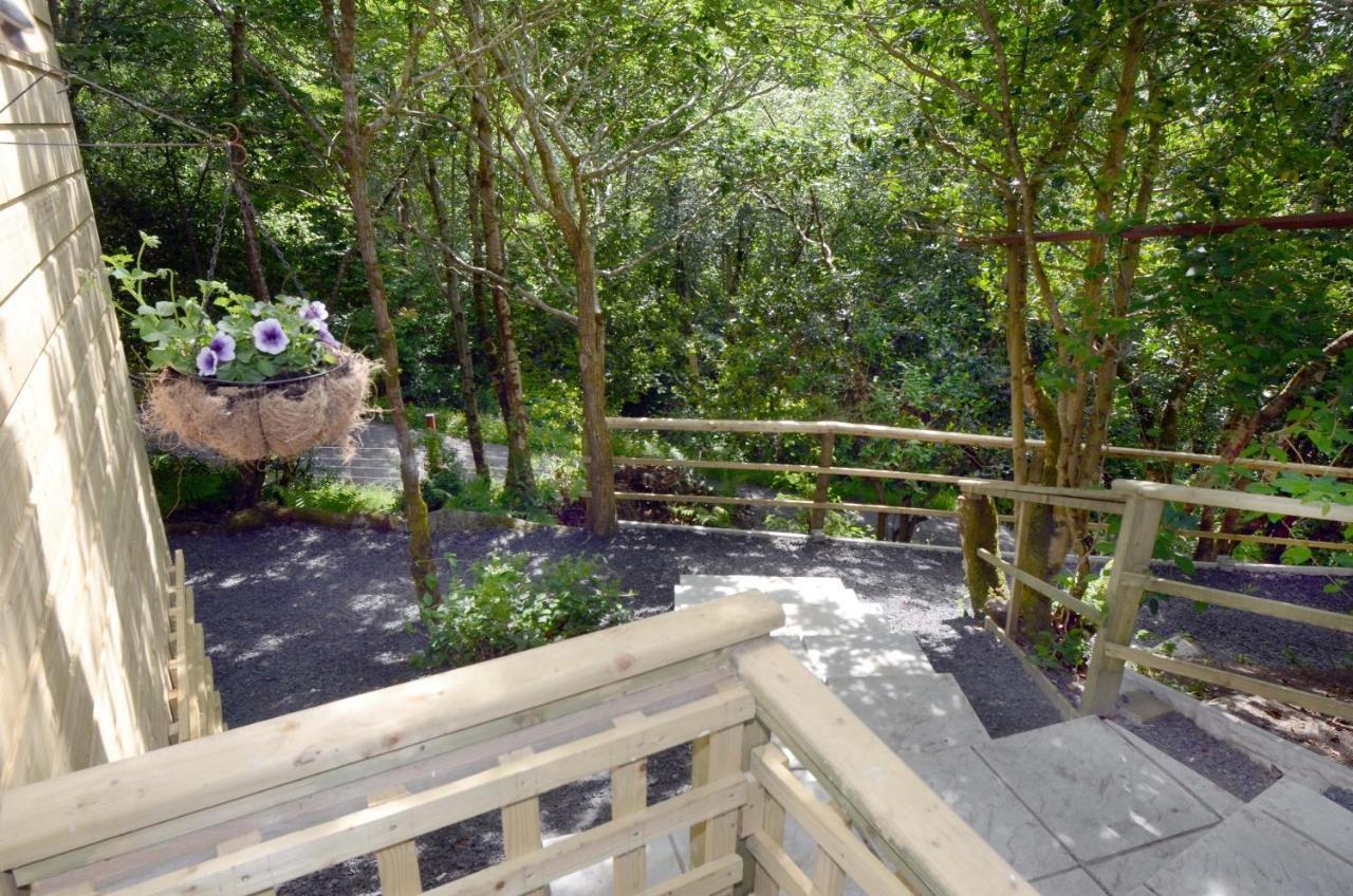 Tawny Lodge Westport Exterior foto