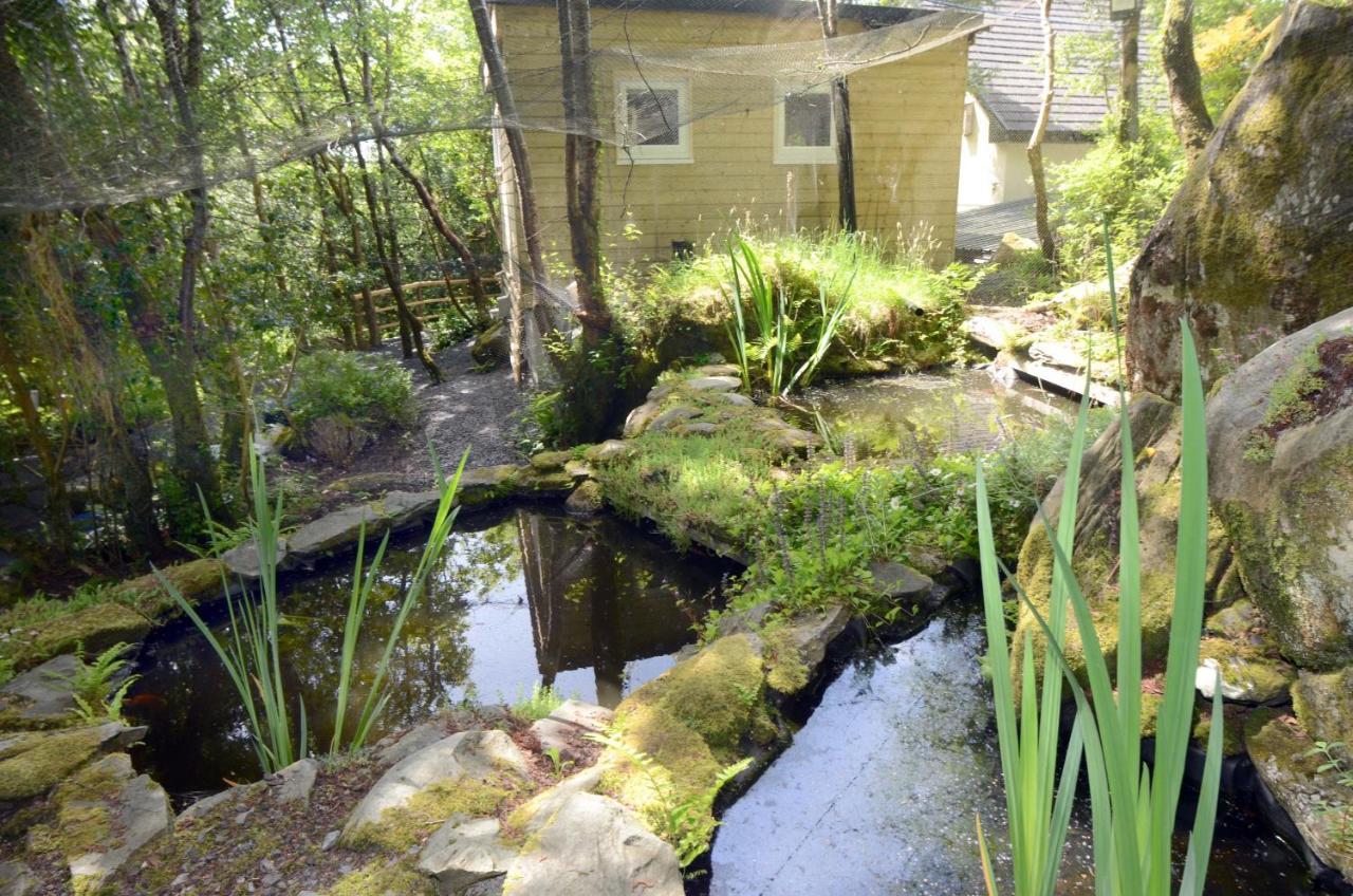 Tawny Lodge Westport Exterior foto